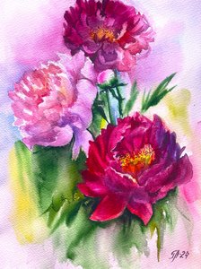 Vibrant Peony Blooms