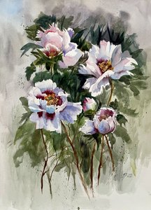 White Watercolor Peonies