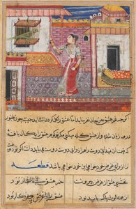 The Parrot Addresses Khujasta at the Beginning of the Thirteenth Night, from a Tuti-nama (Tales of a Parrot)