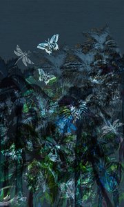 Dark Tropics by Tara Whitehead