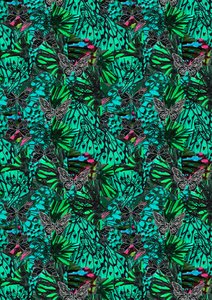 Papillon by Tara Whitehead
