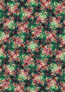 Tropical Palm