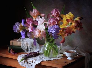 Colorful Irises Still Life