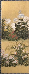Flowers and Butterflies