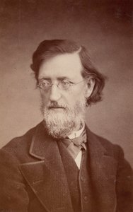 Portrait of John Peter Lesley by Taylor and Brown