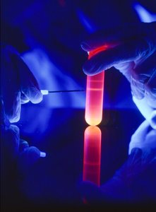 Extracting nucleotides of RNA from a plastic centrifuge tube