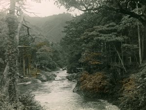 Autumn Forest in the Yamanaka Region, circa 1900 - 1915 by Teijiro Takagi