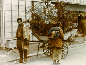Itinerant Flower Seller in the Streets of Tokyo, circa 1900 - 1915 by Teijiro Takagi