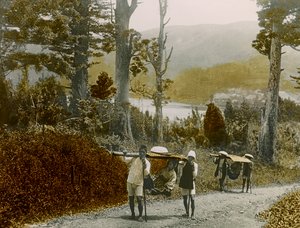 Japanese Girl in a Kago, Hakone Region, circa 1900 - 1915