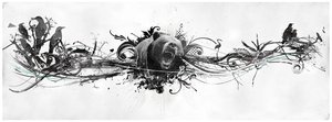 Bear Growl by Teis Albers