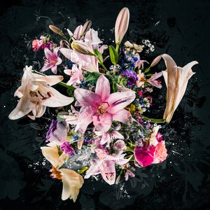 Bouquet VIII, 2018 by Teis Albers