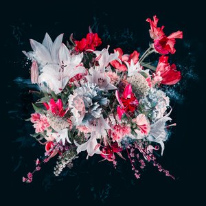 Bouquet V, 2018 by Teis Albers