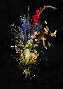 Bouquet XXXIII, 2020 by Teis Albers