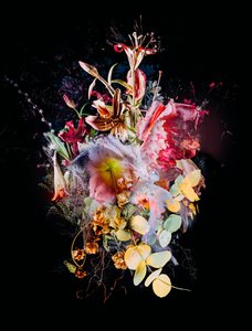 Bouquet XX