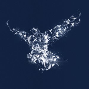 In Flight