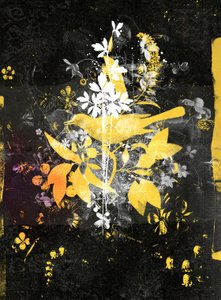 Rise Up! by Teis Albers