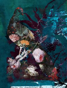 Wildness by Teis Albers