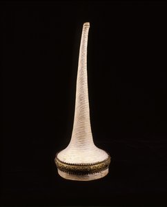 Ambassador