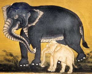 Elephant and Calf, Page from a Manuscript on Elephant Training