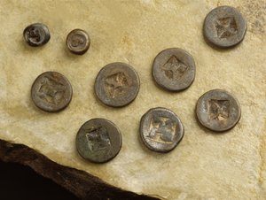 Money with flower and namo marks from the Srivijaya Kingdom by Thai School