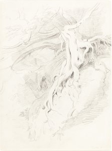The Yew at Clifton by Thales Fielding