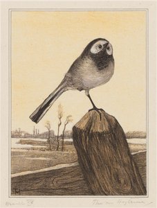 Wagtail on a Post by Theo van Hoytema (signed by artist)