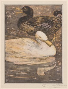 Two Ducks