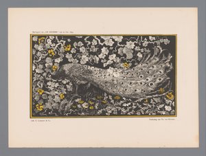 Peacock by Theo van Hoytema