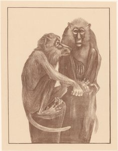 Two Monkeys on Tree Stumps (Animal Studies) by Theo van Hoytema