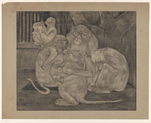 Five Monkeys in a Cage by Theo van Hoytema