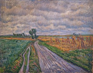 Field Path in the Mark