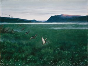 The Twelve Wild Ducks by Theodor Kittelsen