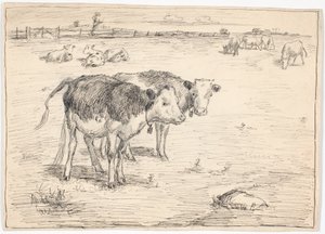 A Couple of Calves on 