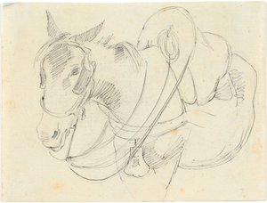 Mules. Italy