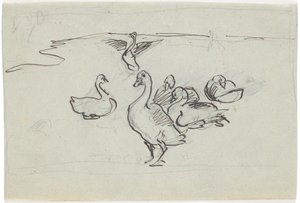 Study of Geese