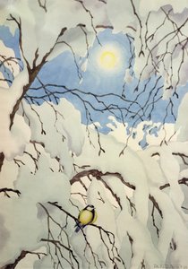 Great Tit