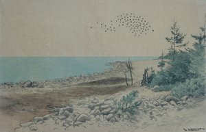 Jomfruland