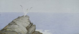 Seabird