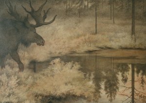 The Elk Comes to Quench His Thirst