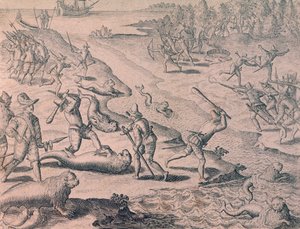 Slaughter of sea lions by explorers by Theodor de Bry
