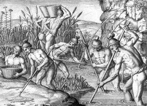 Timucua Indian collecting gold