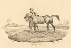 An Arabian Horse by Theodore Gericault