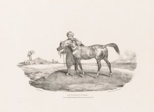 An Arabian Horse by Theodore Gericault