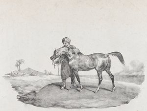 An Arabian Horse by Theodore Gericault