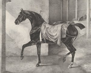 Black Horse Tethered in a Stable by Theodore Gericault