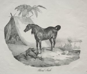 Arabian Horse by Theodore Gericault