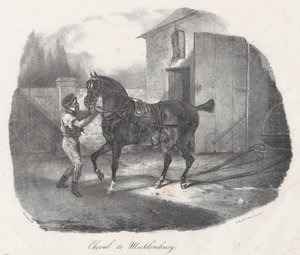 A Mecklembourg Horse by Theodore Gericault