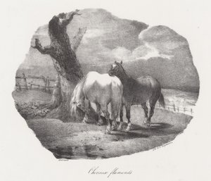 Flemish Horses by Theodore Gericault