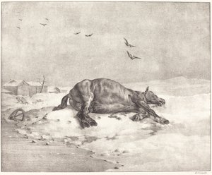 Dead Horse by Theodore Gericault