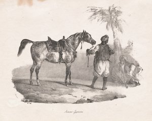 Egyptian Mare by Theodore Gericault